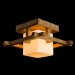 Накладной светильник Arte Lamp Woods A8252PL-1BR фото